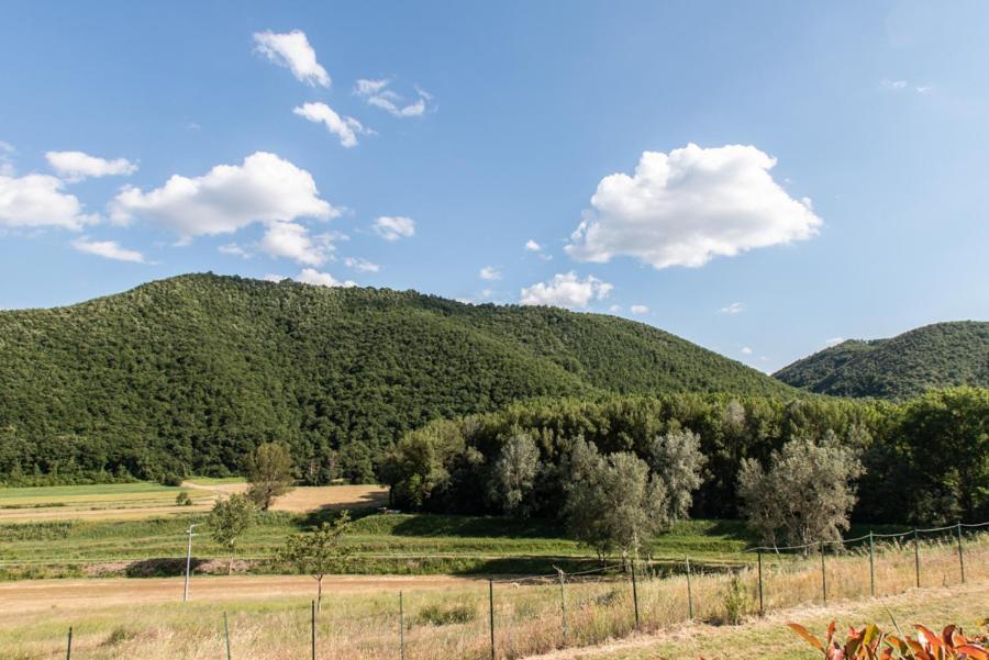 Il Colombaio Agriturismo Montegabbione Exterior foto