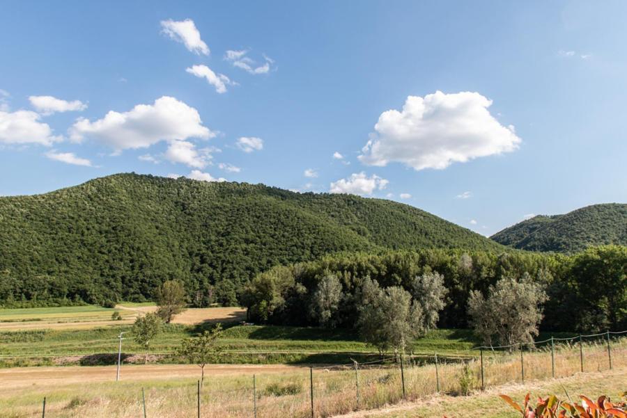 Il Colombaio Agriturismo Villa Carnaiola Exterior foto